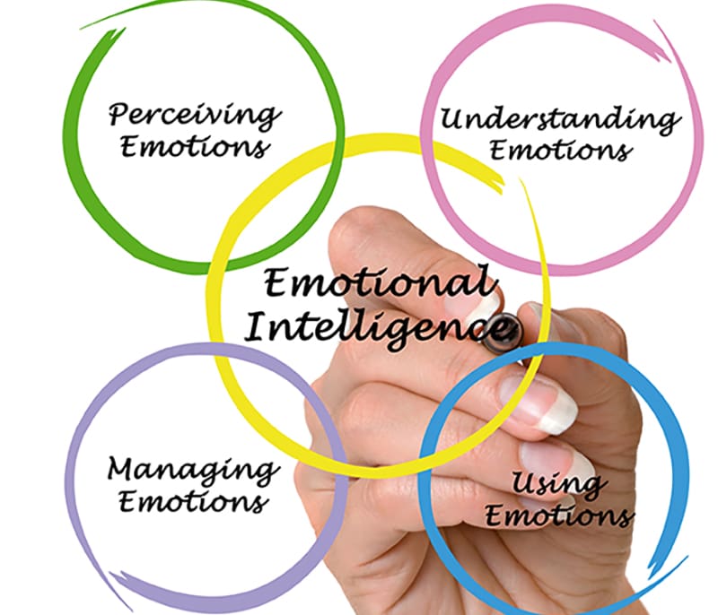 Emotional Intelligence