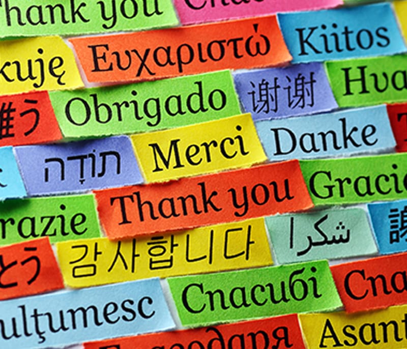How To Work Effectively Across Different Cultures